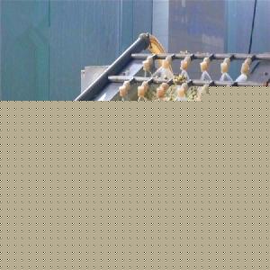 洋槐花市場綜述 價格、品牌廠家與預包裝食品批發指南